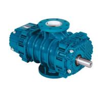 Воздуходувка роторная промышленная Robuschi ROBOX RBS 65